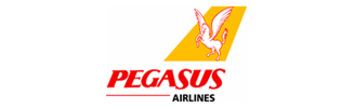 pegasus
