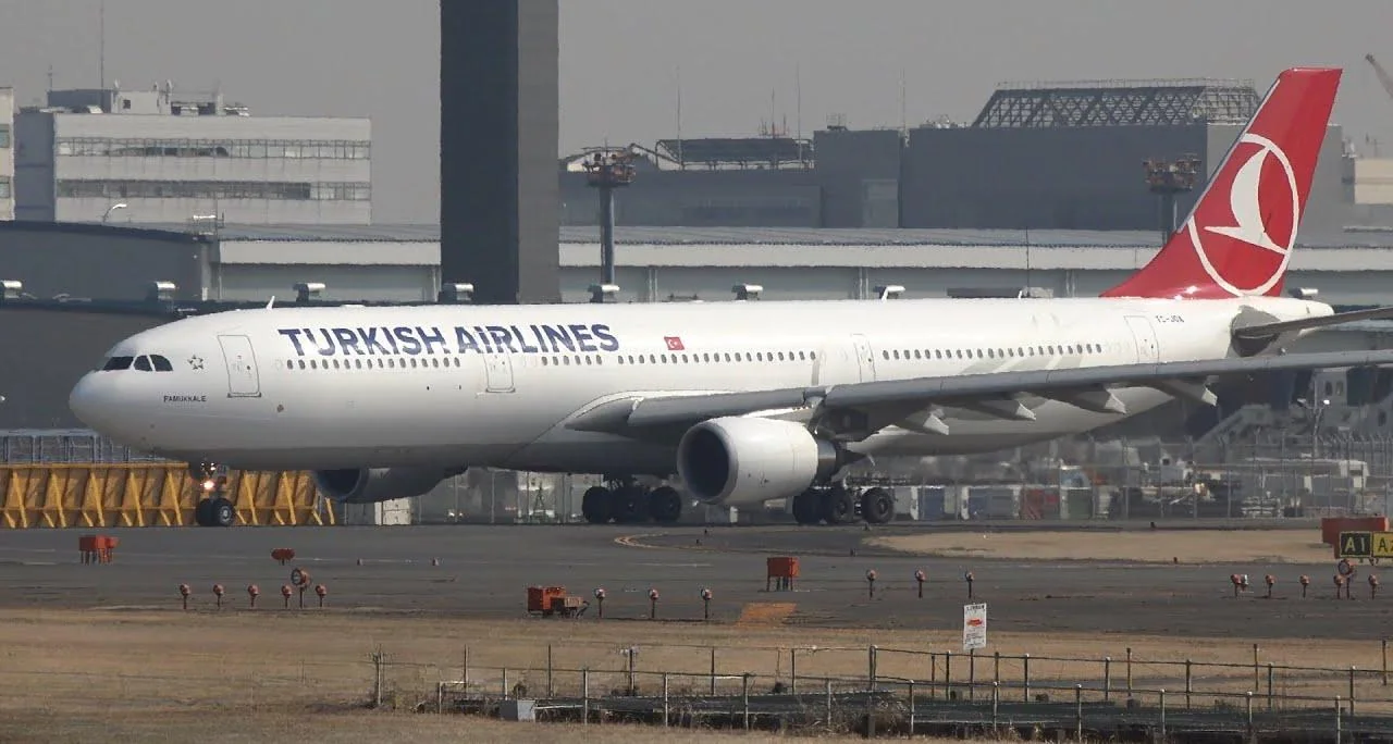 Схема салона Airbus A330-300 Turkish Airlines: три варианта и ряды без бортовых мест
