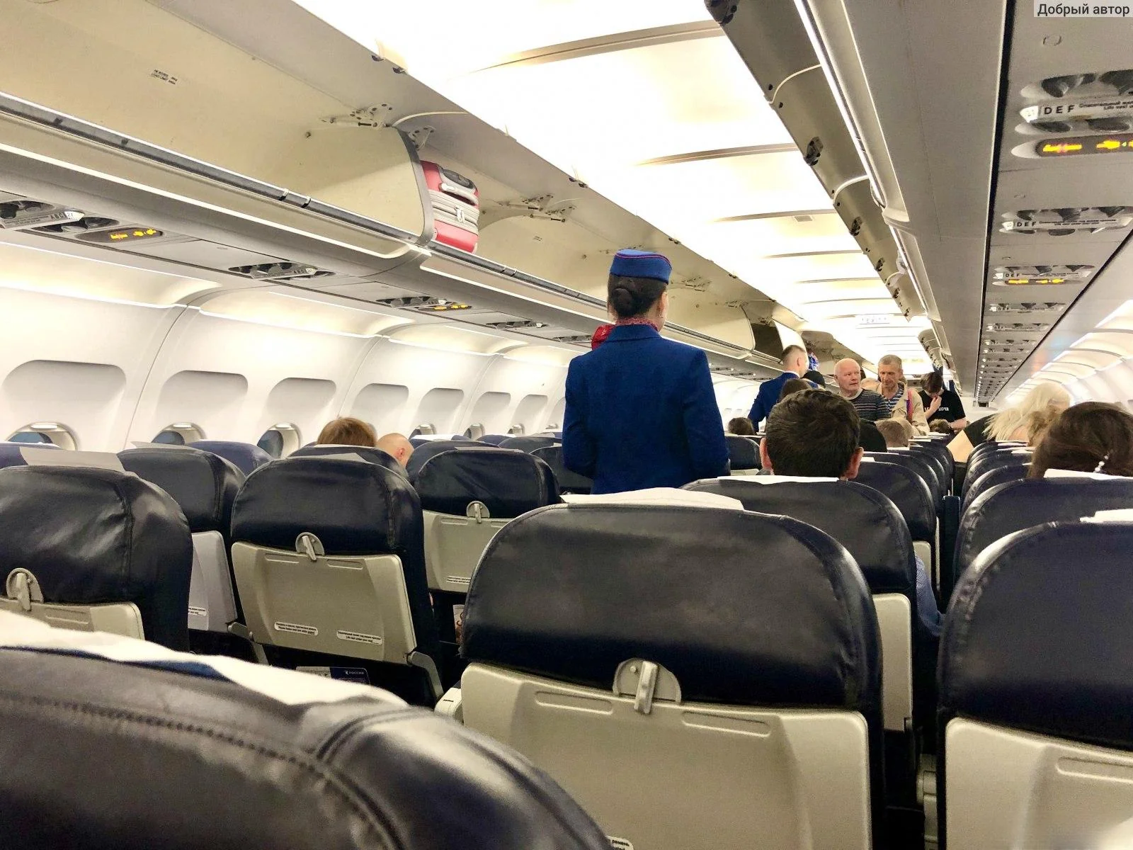 Проход эконом-класса Airbus A319 «Россия», бортпроводник в форме