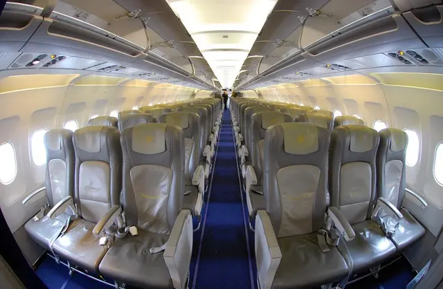 Ряды эконом-класса Airbus A321 Lufthansa с журавлём на подголовниках