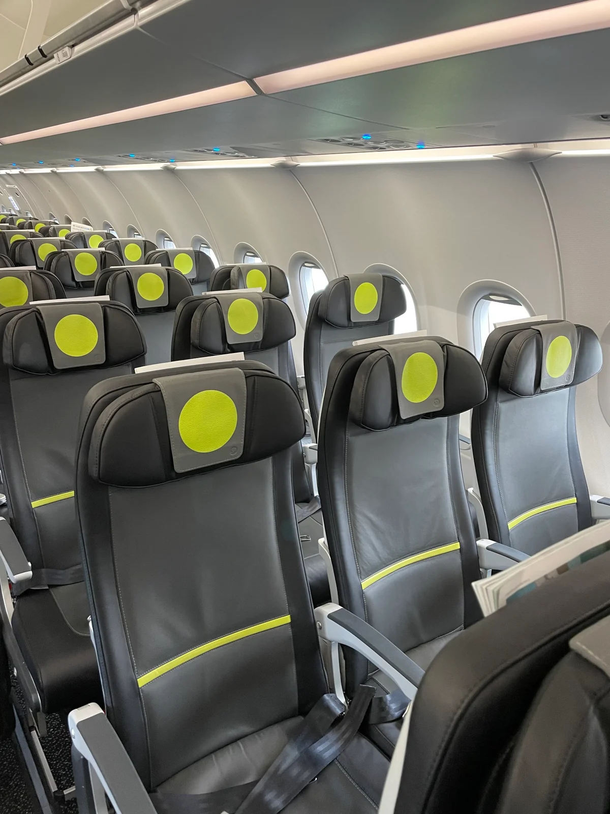 Эконом A321 S7: тройка кресел с зелёной полосой и подголовниками