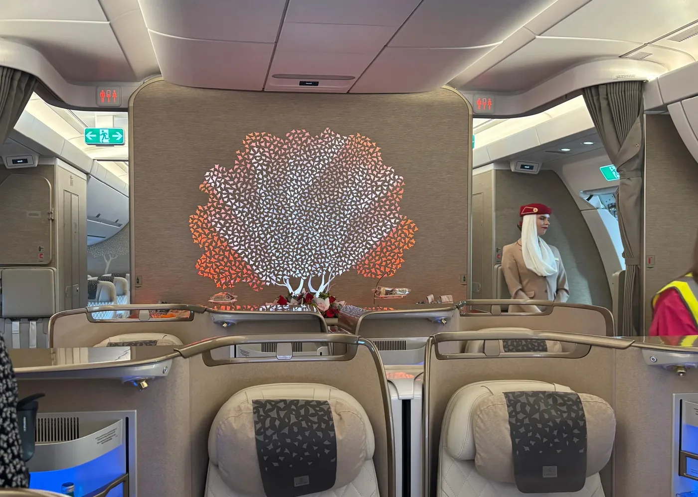 Перегородка с панно в бизнес-классе Airbus A350-900 Emirates