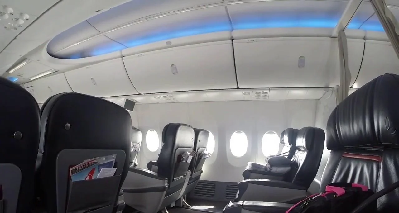 Кресла бизнес-класса Boeing 737-900ER Turkish Airlines по два у борта